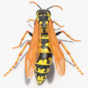 wasp standing pose fur 3D