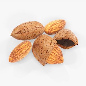 3D model almond nut