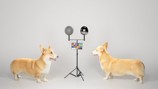 corgi models 2020