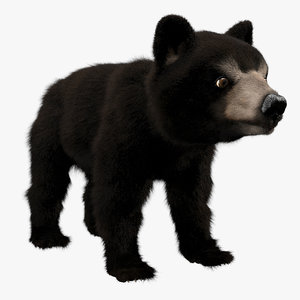 baby bear 3D model