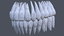 3D teeth anatomy mouth