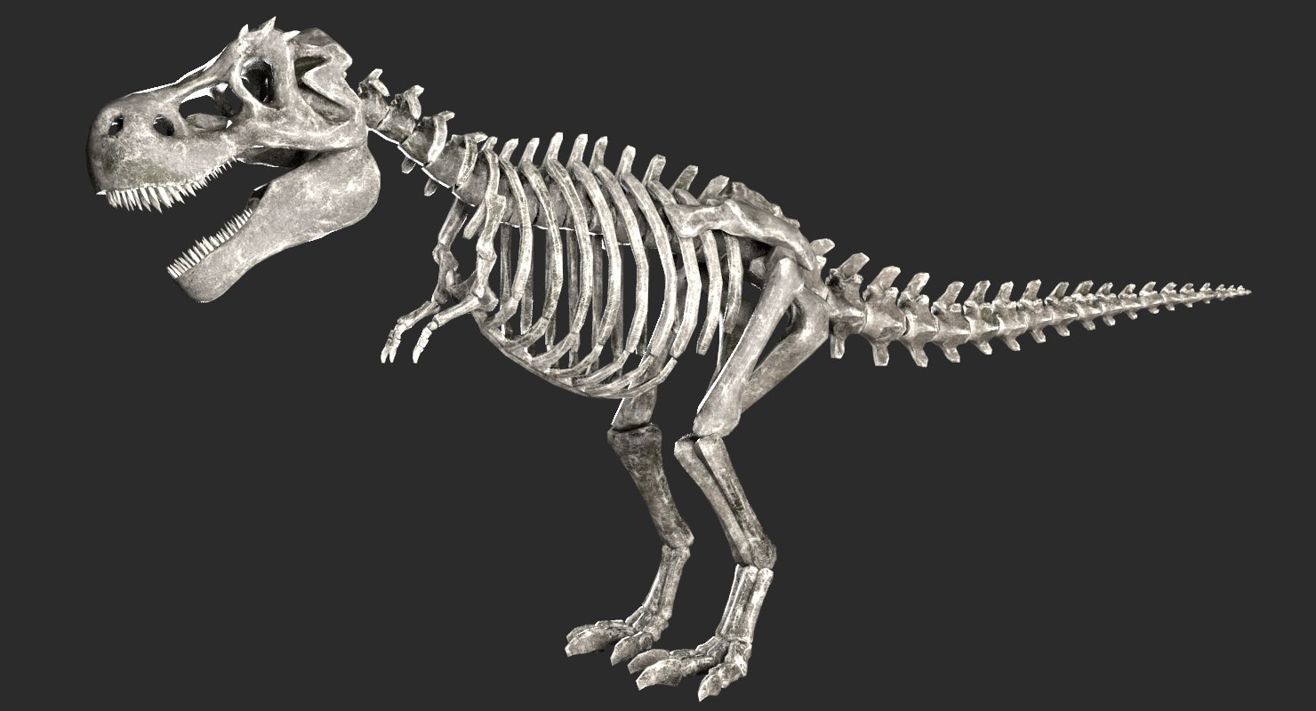 bone t rex