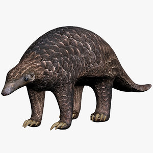 pangolin beast mammal 3D model