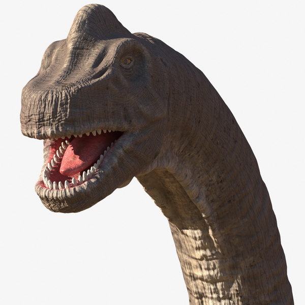 brachiosaurus 3d view