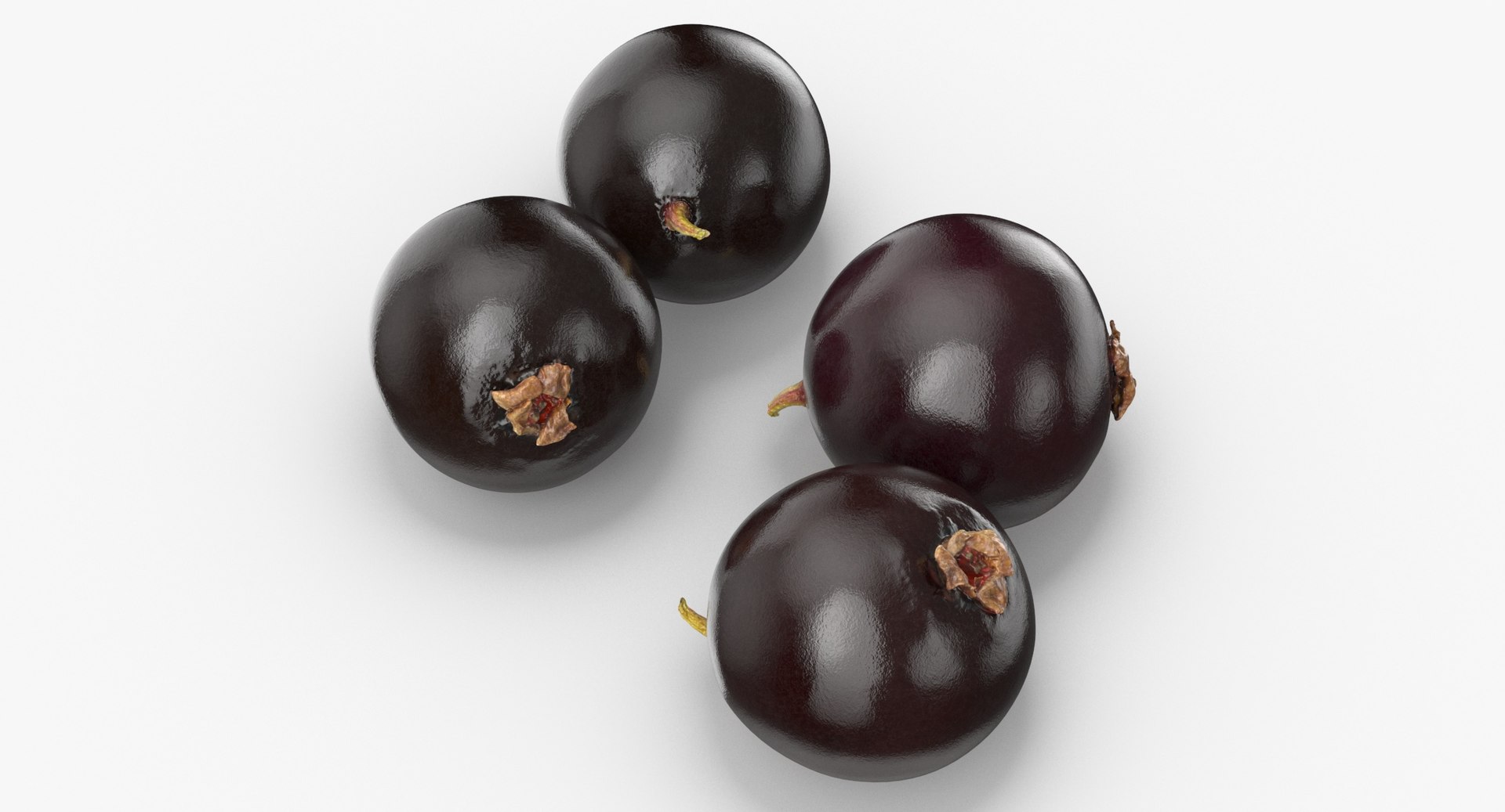 Blackcurrant individual 3D model - TurboSquid 1625067