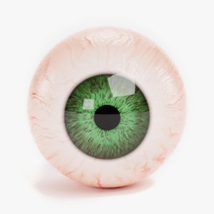 eyeball lights 3D model