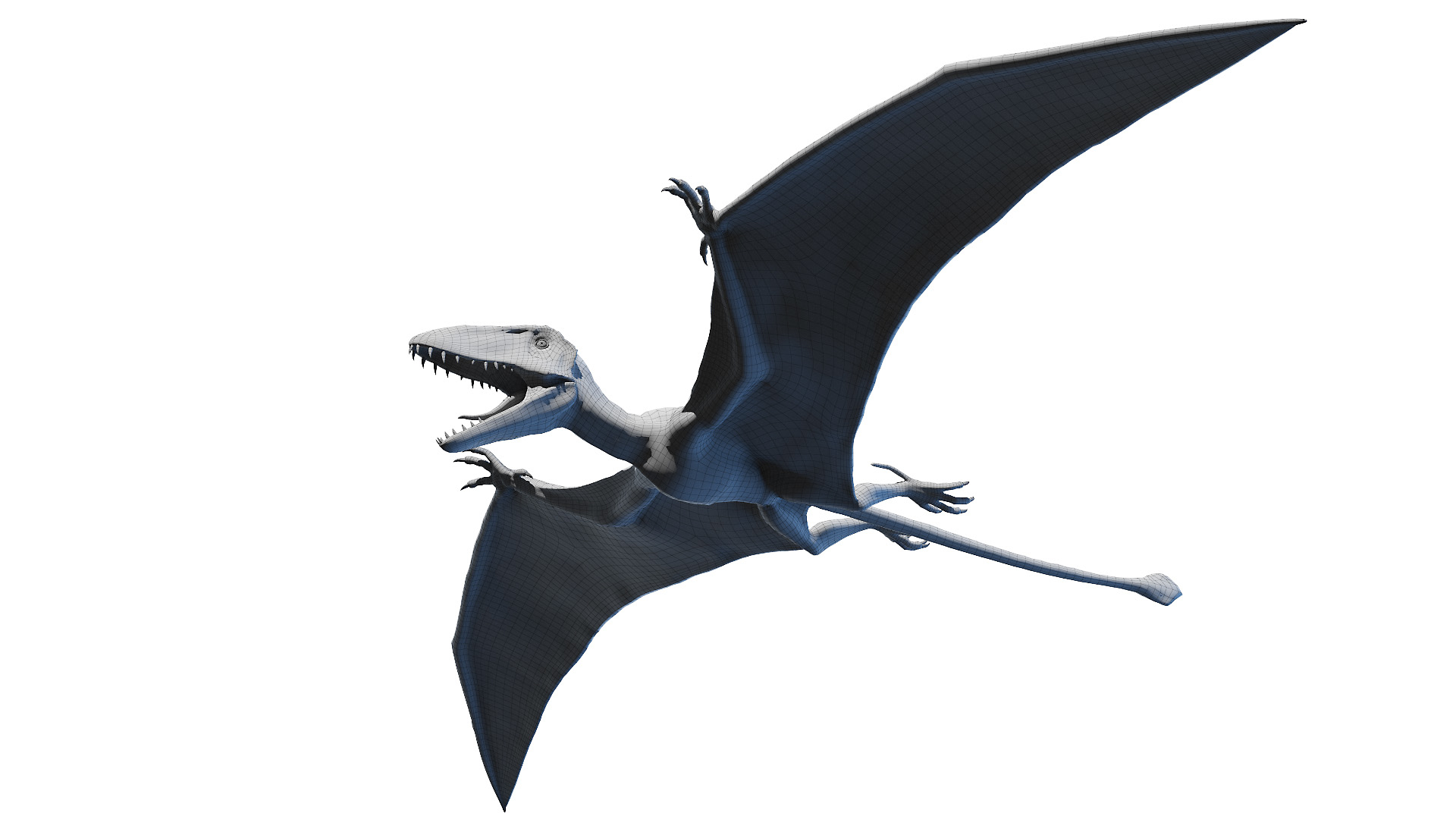 Dimorphodon model - TurboSquid 1626084
