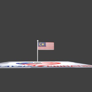 flag waving 3D