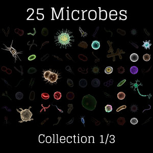 3D microbes micro bacteria cells model