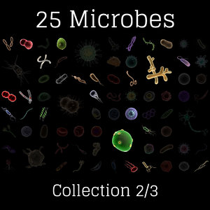 microbes micro bacteria cells 3D model