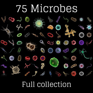 75 microbes micro bacteria cells model