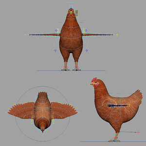 hen rigged 3D model
