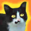 member avatar