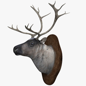 head reindeer 3D model