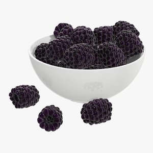 3D blackberry berry bowl model