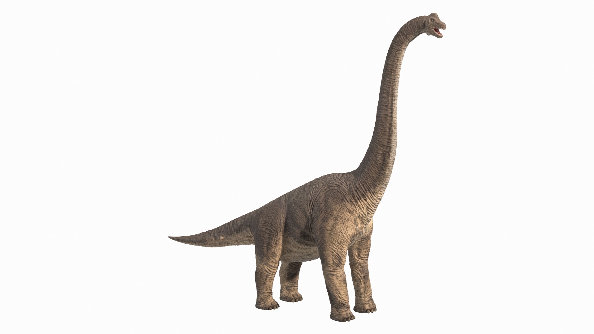 3d brachiosaurus
