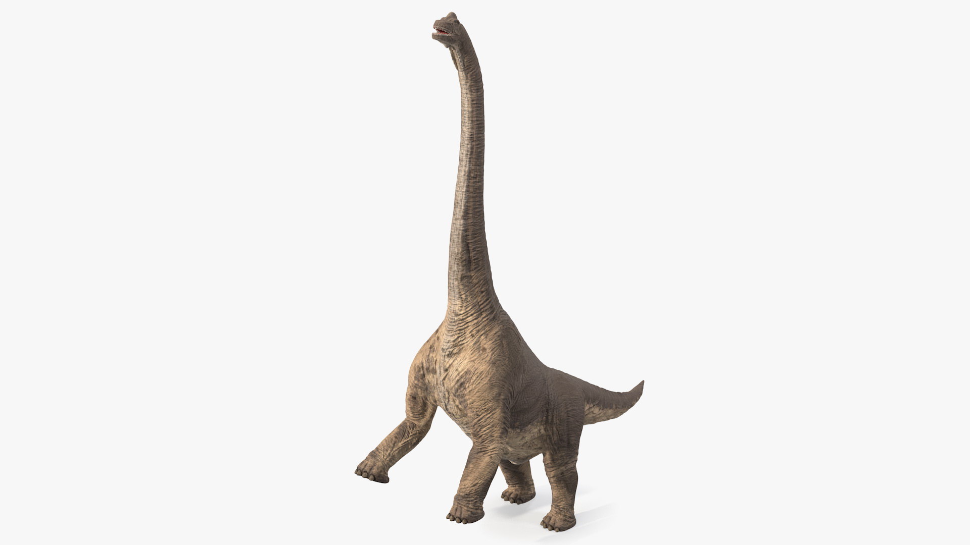 brachiosaurus 2020