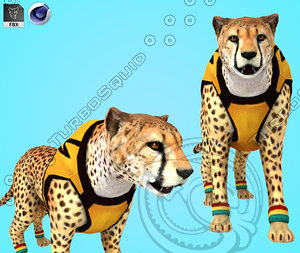 cheetah model