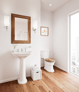 victorian modern bathroom interior scene 3D model