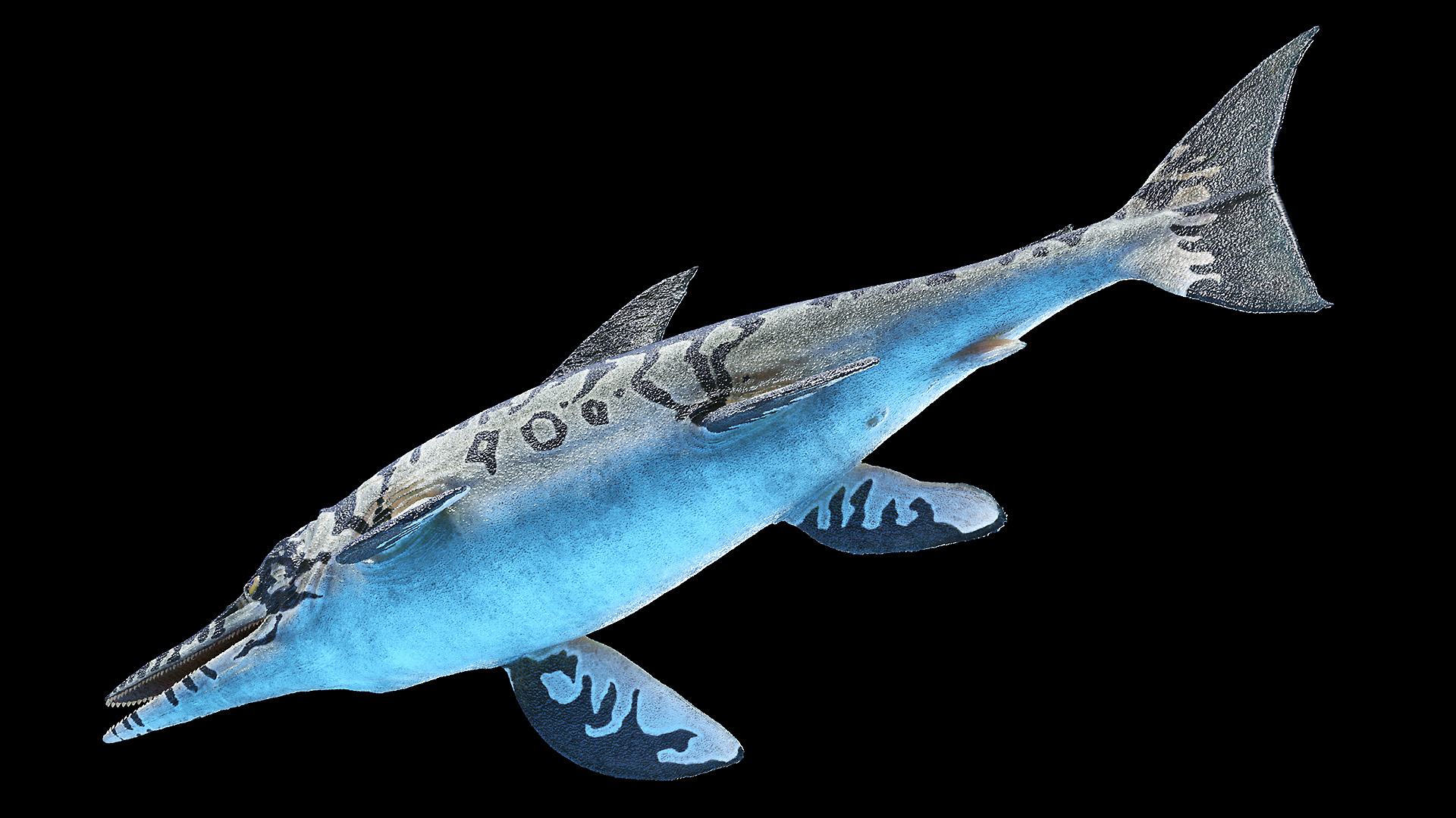 ichthyosaur3d模型