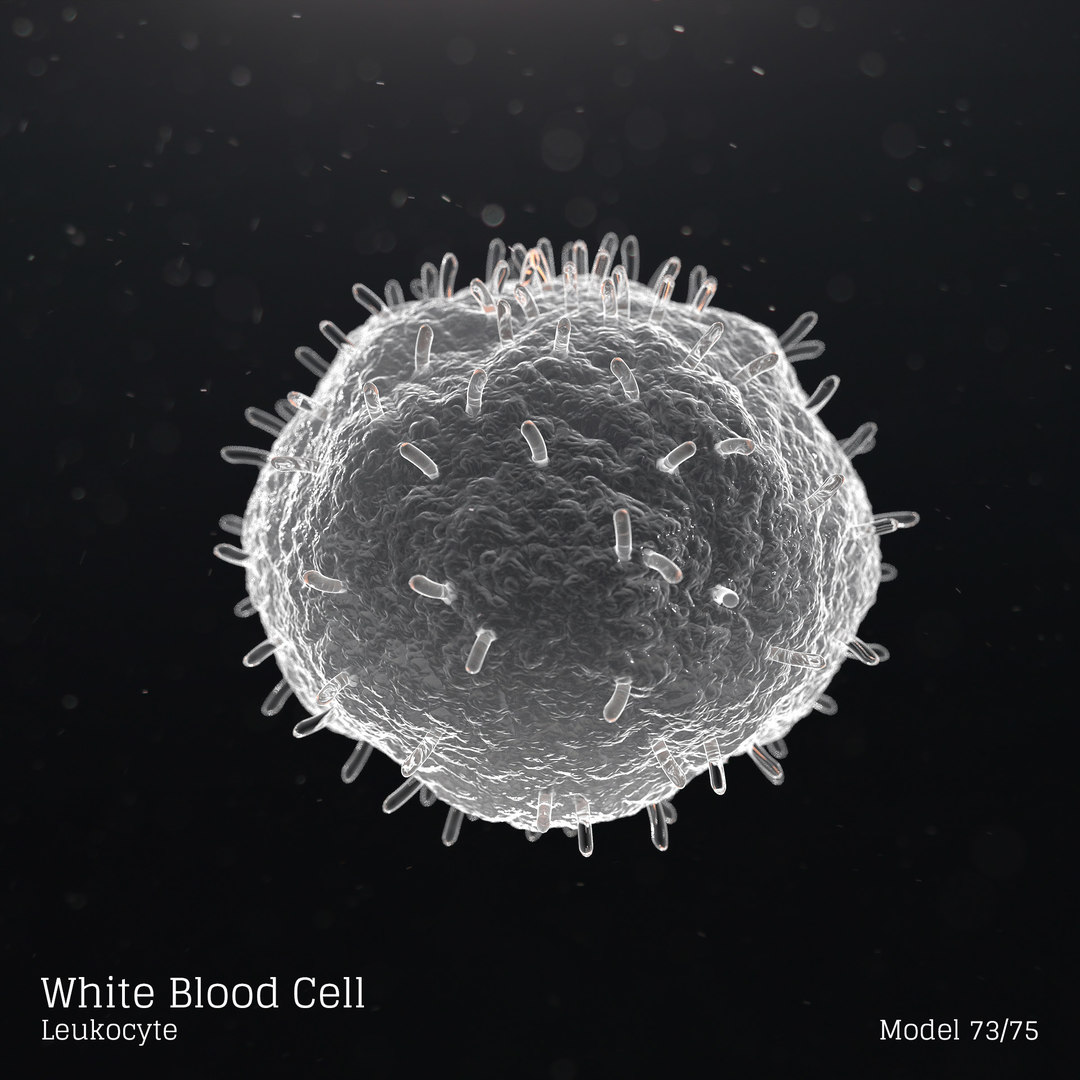 giant microbes blood cells