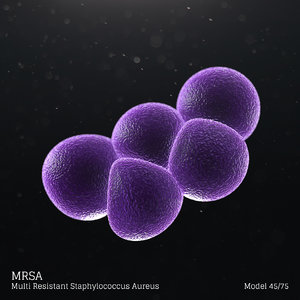 3D model microbes bacteria