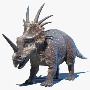 styracosaurus model