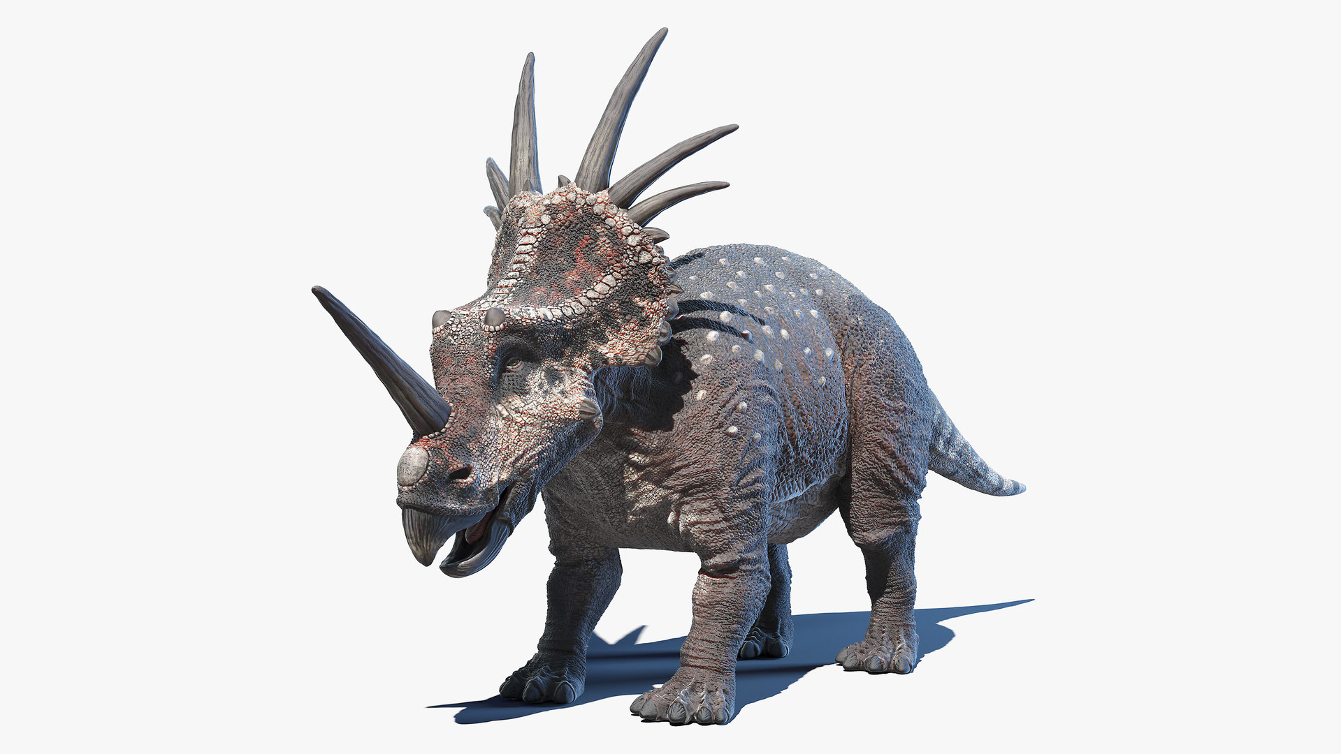 styracosaurus plush