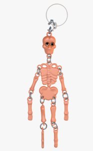 3D model human skeleton
