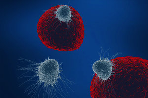 3D cancer cell proliferation invasion