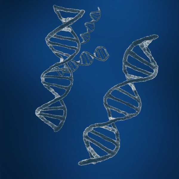 Dna Sequencing Rna Genetics 3d Model Turbosquid