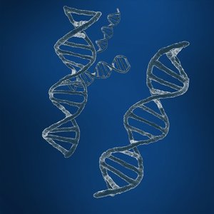 dna sequencing rna genetics 3D model