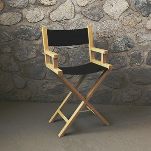 3D directors chair model