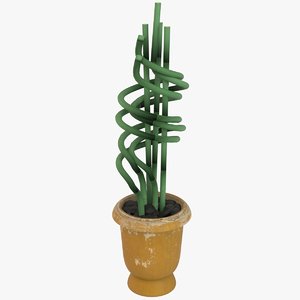 3D potted plant lucky bamboo model