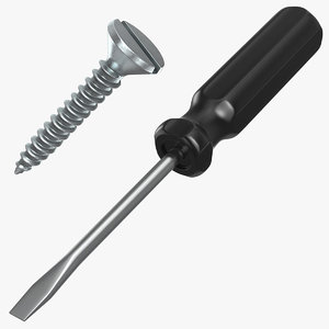 flat head screwdriver screw 3D model