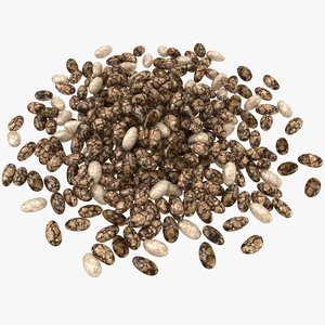 3D realistic chia seeds pile