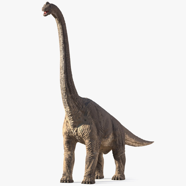 brachiosaurus 3d view