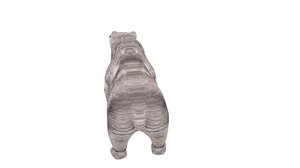 3D bear animal model