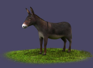 donkeys ranches livestock breeding 3D model