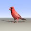cardinal rigged fly 3D model