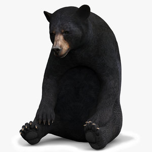 black bear rigged 3D