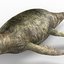 3D liopleurodon dinosaur pbr