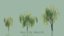 pack 30 tree willow 3D model