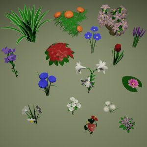 cornflower flower 3D model