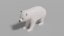 polar bear family 3D