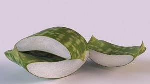 aloe plant vera 3D model