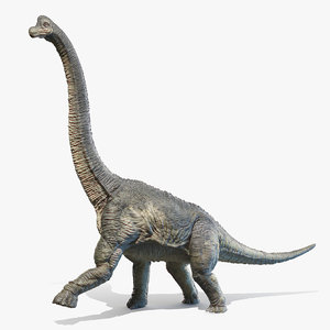 3D brachiosaurus model