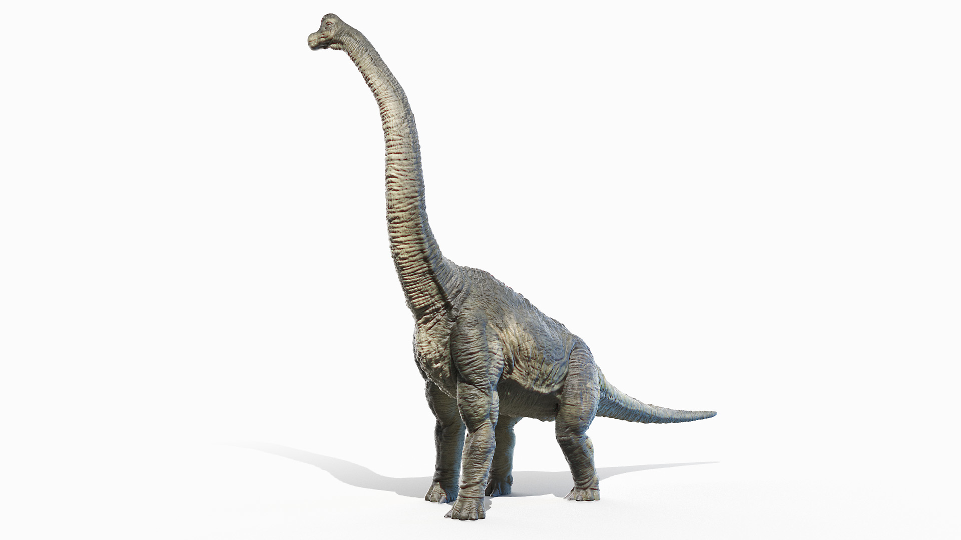 brachiosaurus 2020