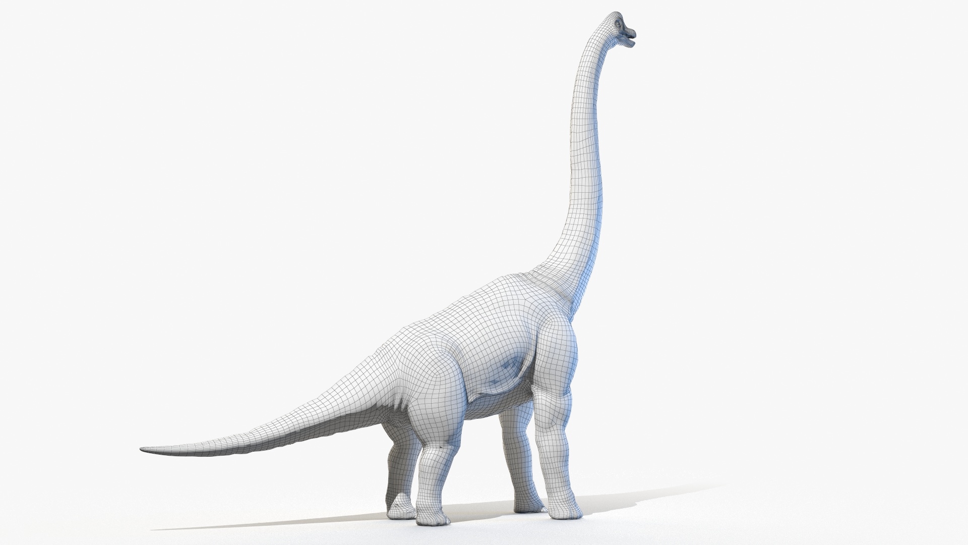 brachiosaurus 3d view