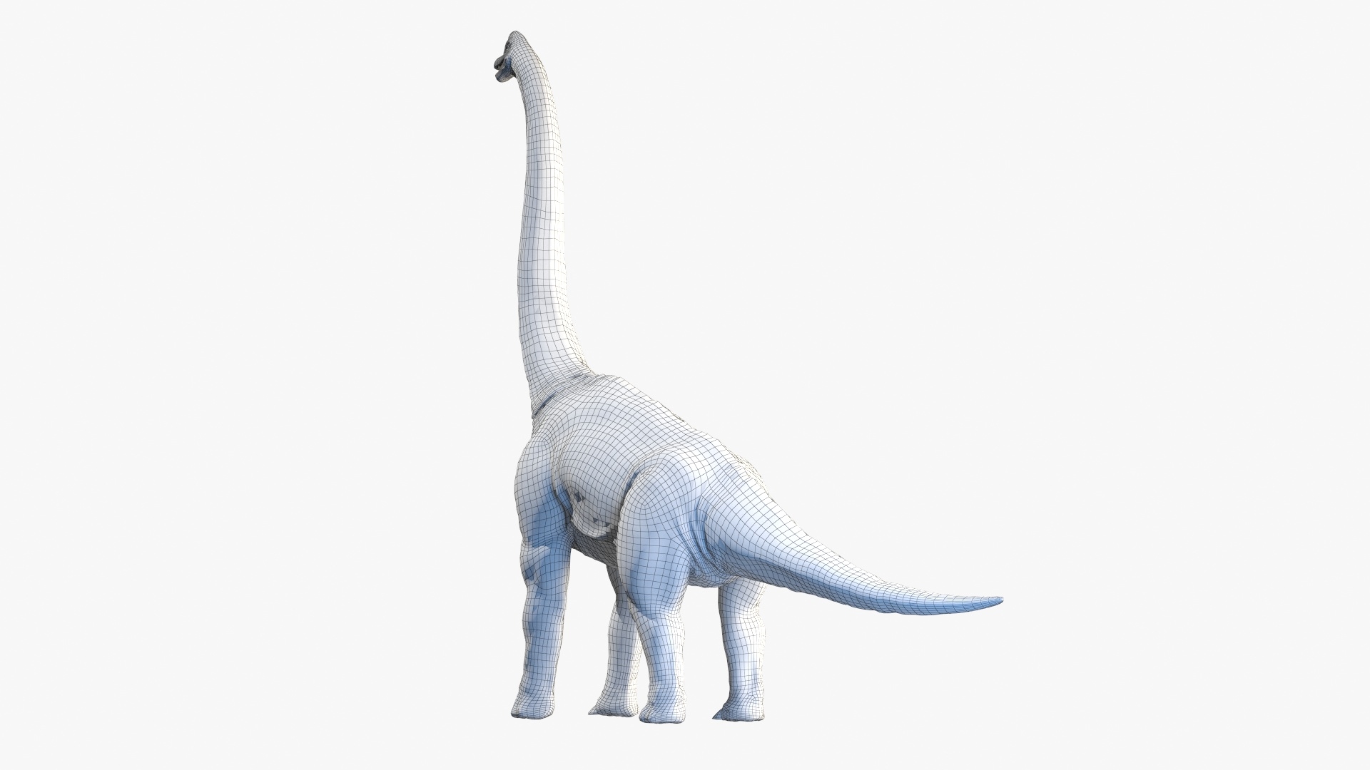 3d brachiosaurus